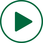 再生