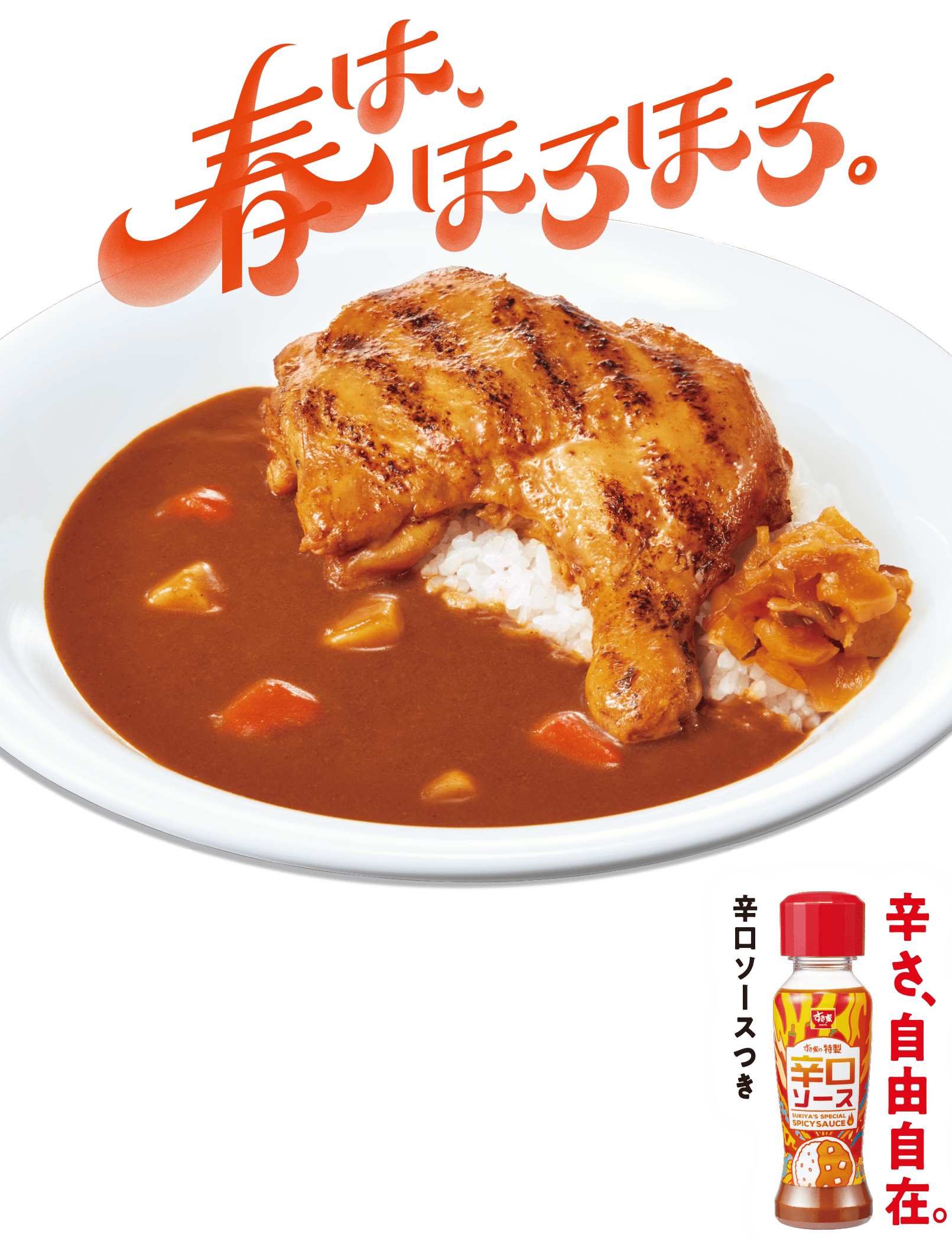 炭火焼きほろほろチキンカレー