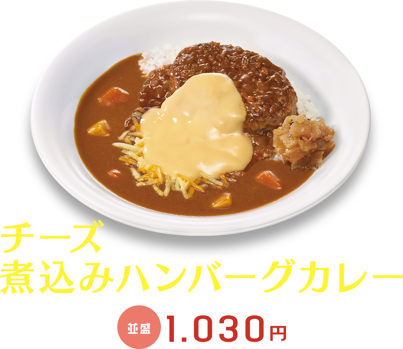 チーズ煮込みハンバーグカレー　並盛1030円
