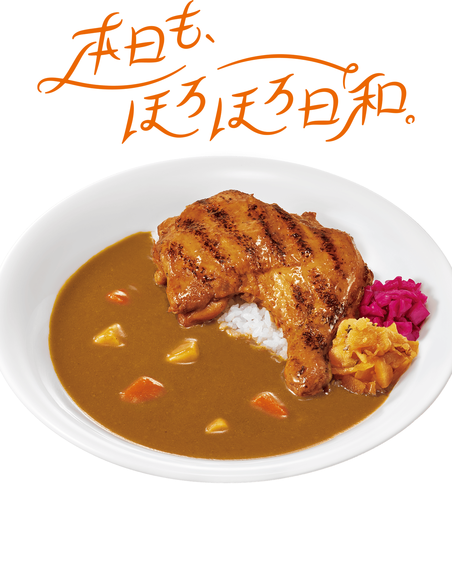 炭火ほろほろチキンカレー