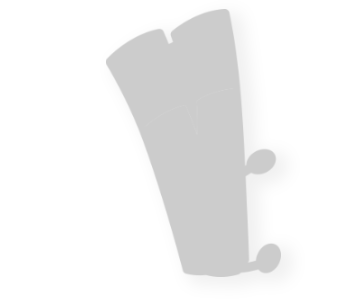 ねぎ