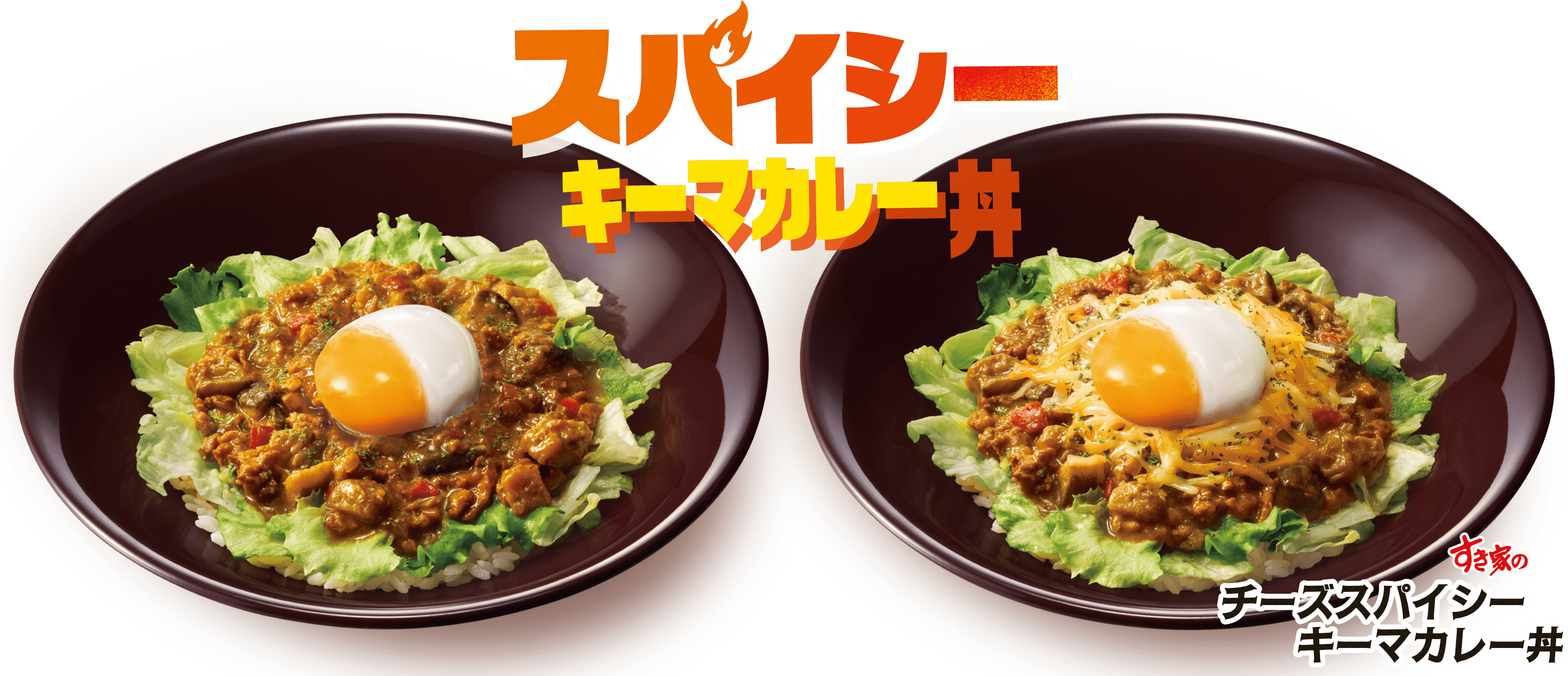 スパイシーキーマカレー