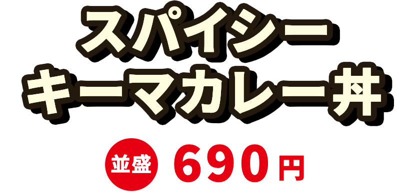 スパイシーキーマカレー 並盛690円