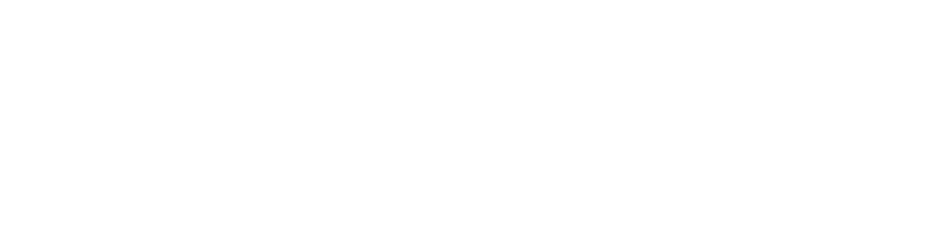 ダブルニンニク牛カルビ丼