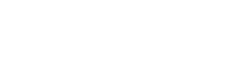 ダブルニンニク牛丼