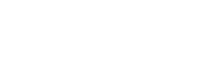 トリプルニンニク牛丼