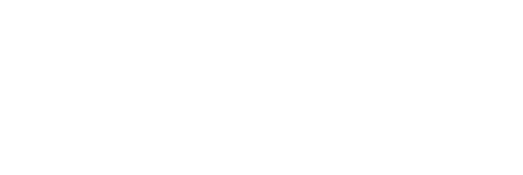 ダブルニンニク牛カルビ丼