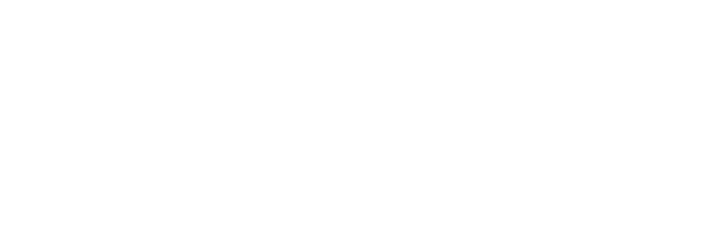 ニンニクの芽単品