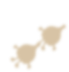 影