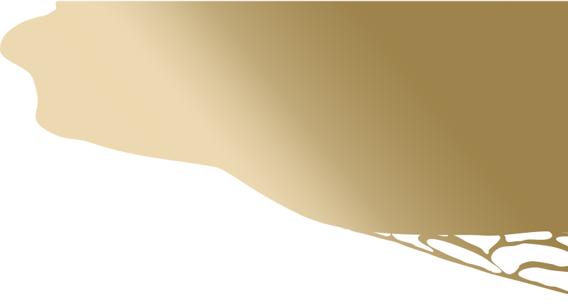波