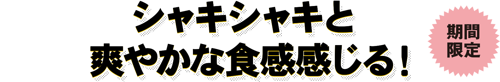 シャキシャキと爽やかな食感感じる！