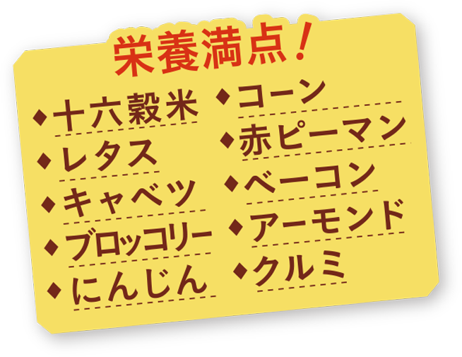 栄養満点