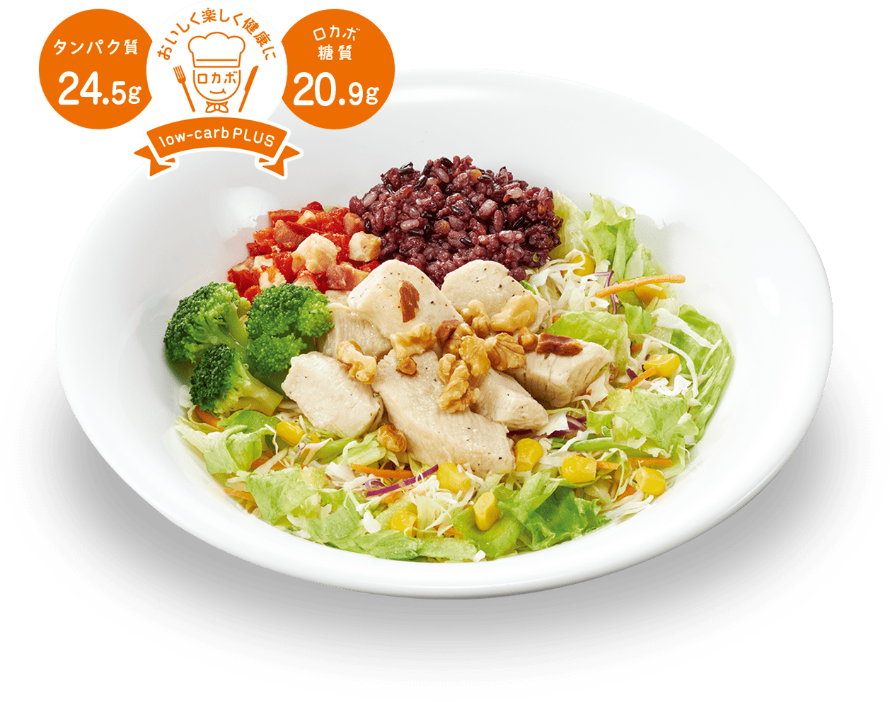 チキン・お食事サラダ