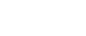 ねぎ