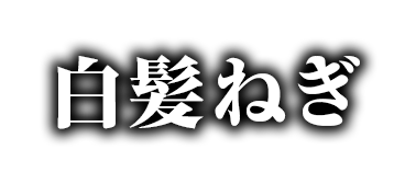 白髪ねぎ