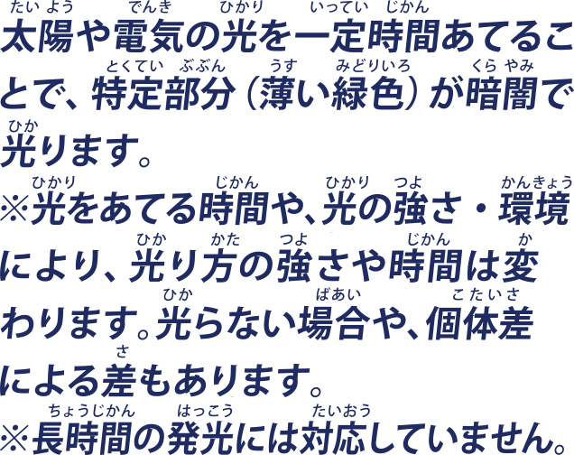 太陽や電気の光を一定時間あてることで、特定部分（薄い緑色）が暗闇で光ります。
※光をあてる時間や、光の強さ・環境により、光り方の強さや時間は変わります。光らない場合や、個体差による差もあります。
※長時間の発光には対応していません。