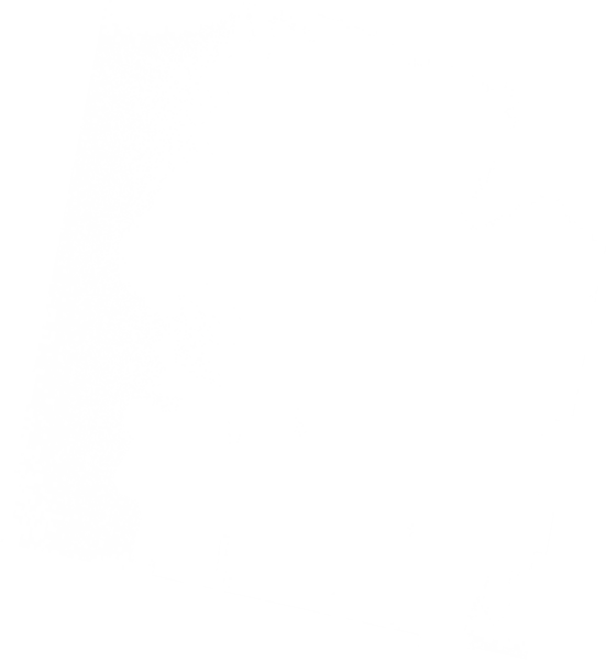 湯気