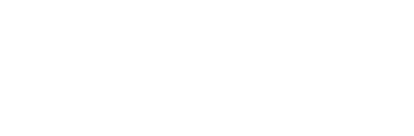 ねぎマヨ炭火やきとり丼